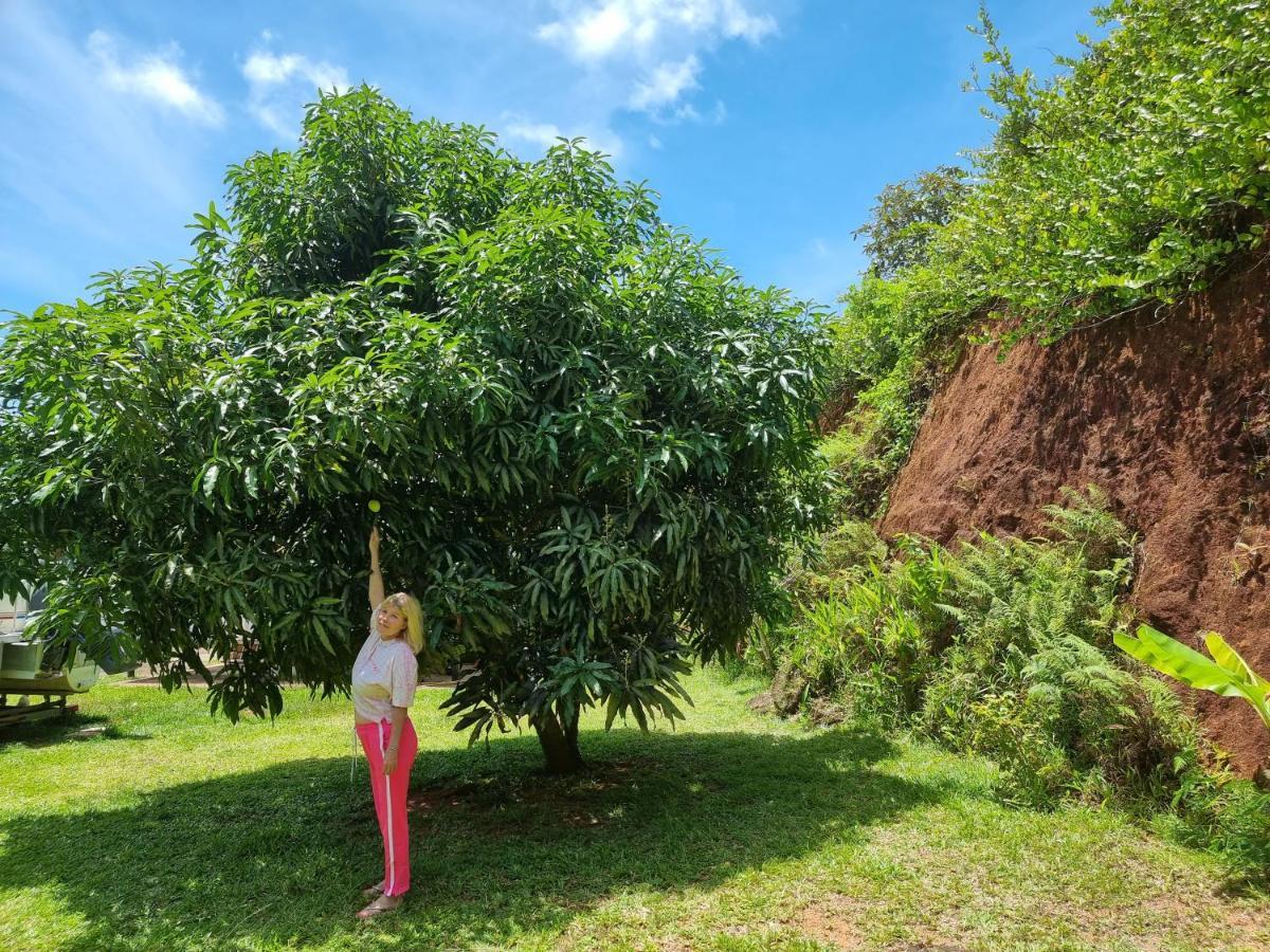 Mirella Villa Island Princess Villa アンス・ヴォルベール エクステリア 写真